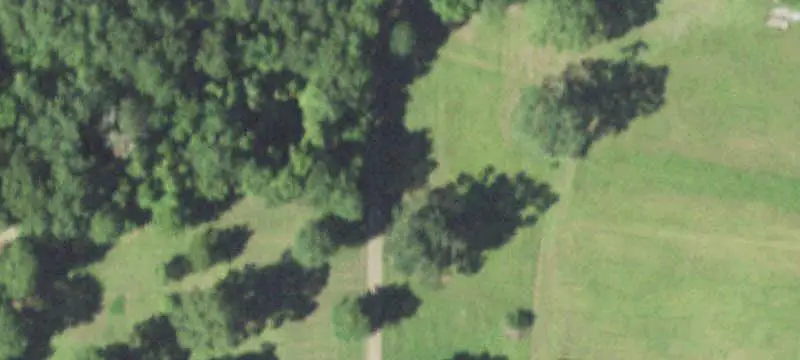Wooded Hunting Land