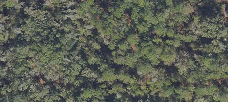Land / Unimproved Land