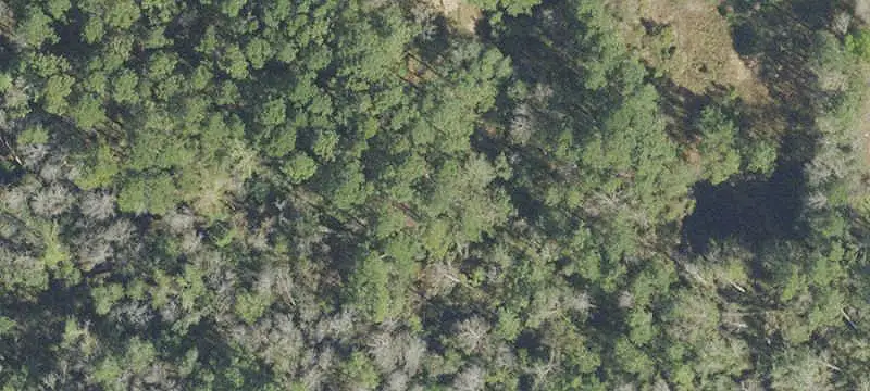 Land / Vacant Land