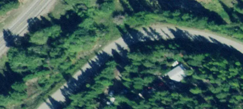 Timbered Hunting Land