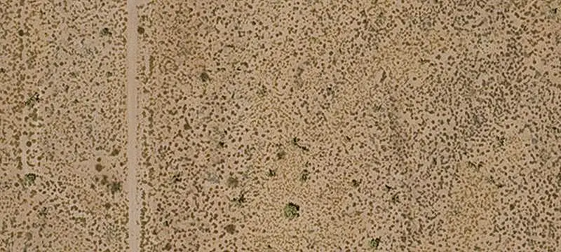 Land / Agriculture