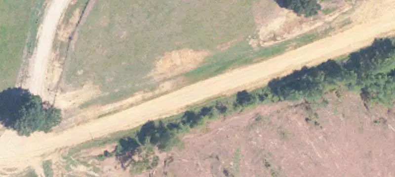 Agricultural Farm with Timber