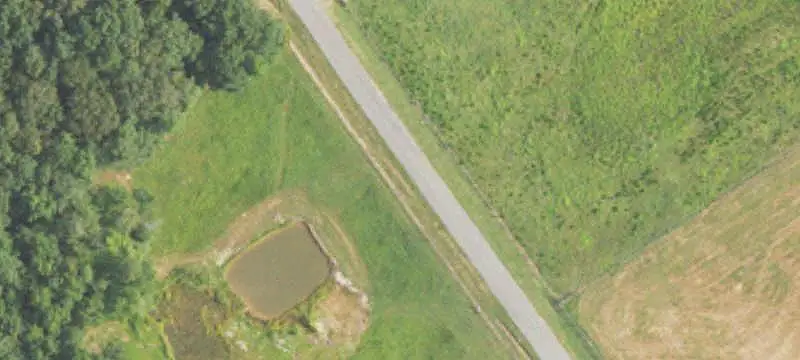 Farm Property with Stocked Pond