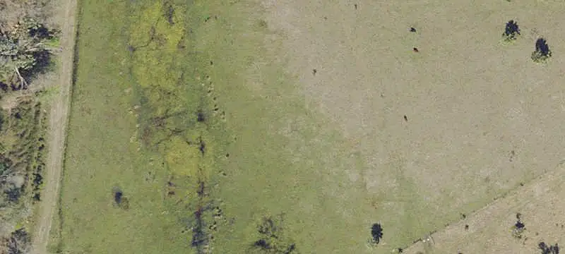Fenced Agricultural Land