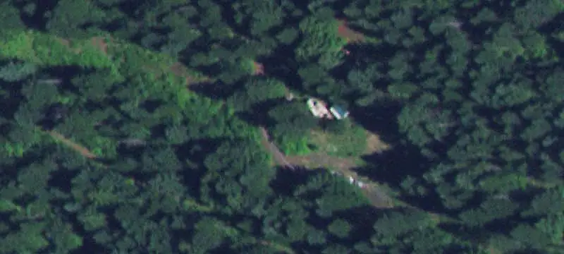 Timbered Acreage Land