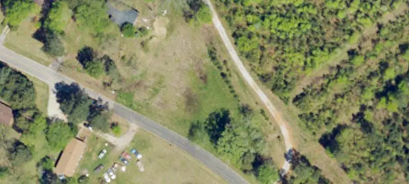 Pine Plantation Farmland