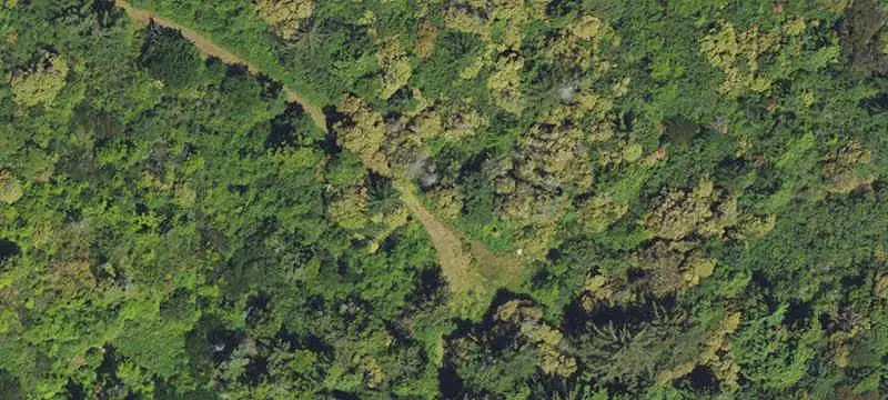 Land