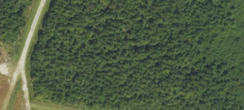 Vacant Land