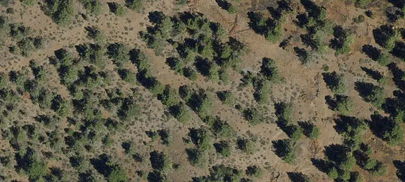 Land with Creeks and Timber