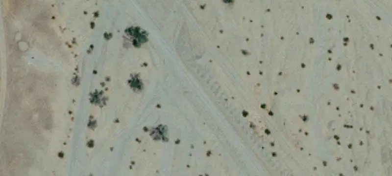 Unimproved Land