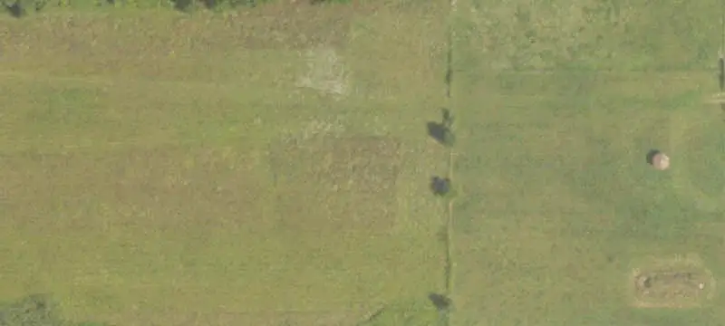 Cleared Agricultural Land