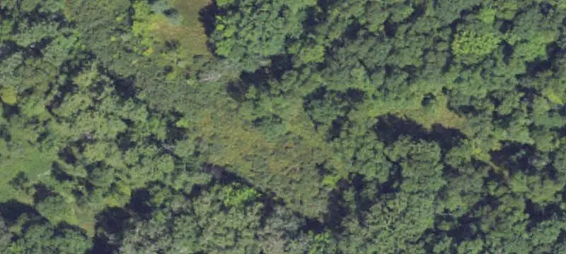 Wooded Hunting Land with Cabins