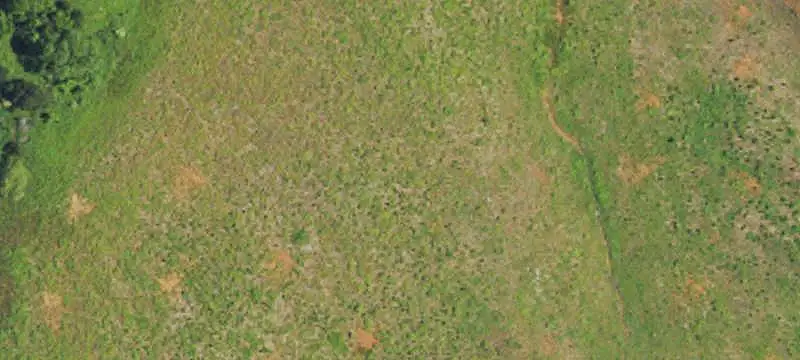 Land