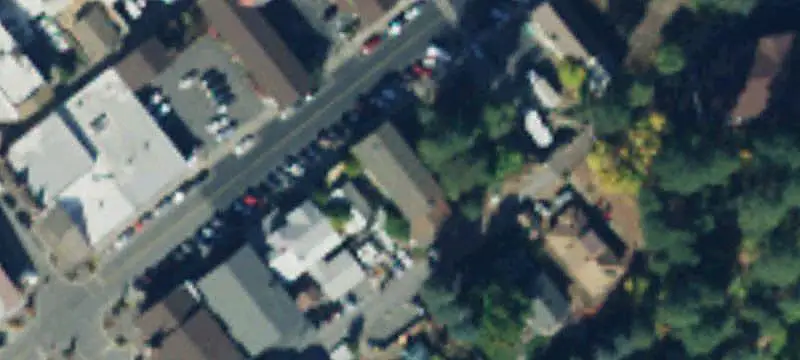 The Plant Ally Garden Retail Business