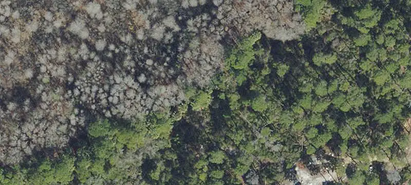 Lots/Land