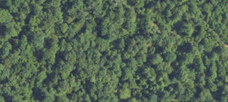 Lots/Land