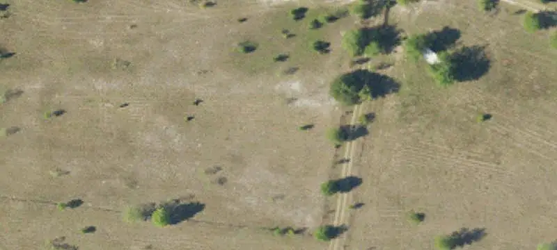 Unimproved Land
