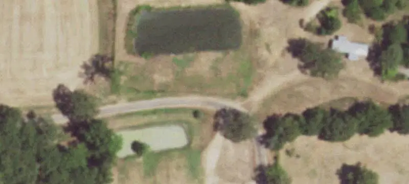 Fenced Agricultural Land with Pasture