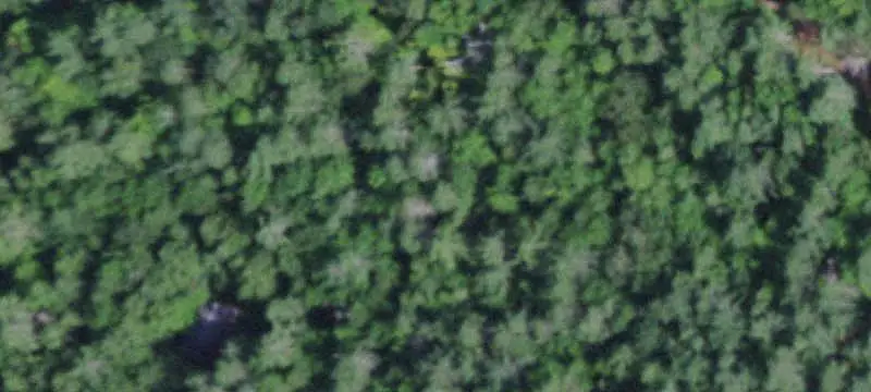 Vacant Land / Lots