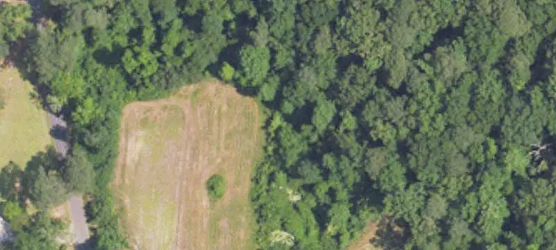 Timbered Land