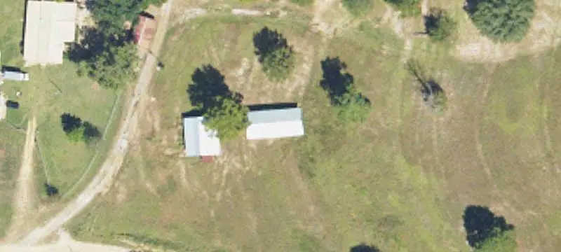 Planted Pine Agricultural Land