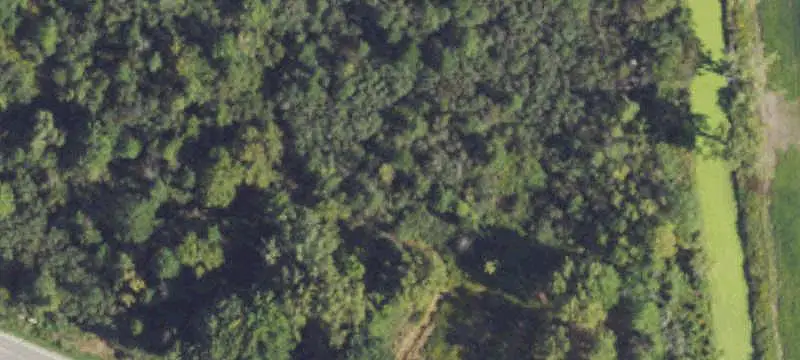 Wooded Recreation Land
