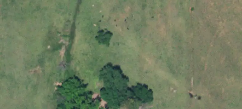 Agricultural Land