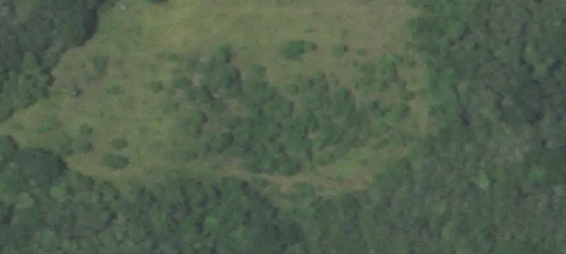 Oak Hunting Land with Living Quarters