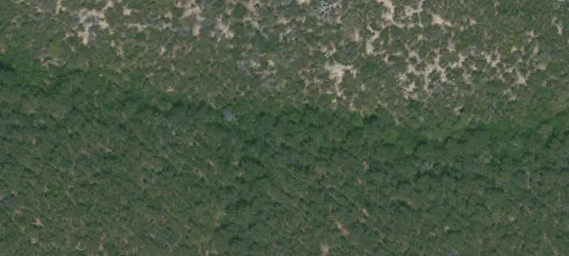 Cattle Ranch with Oak Woodlands