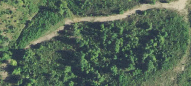Wooded Recreation Land