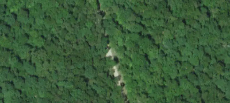 Surveyed Hunting Land Bordering National Forest
