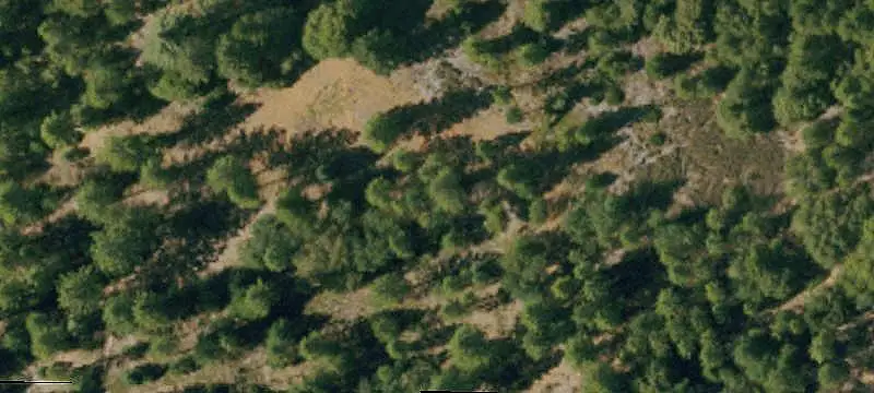 Farm
