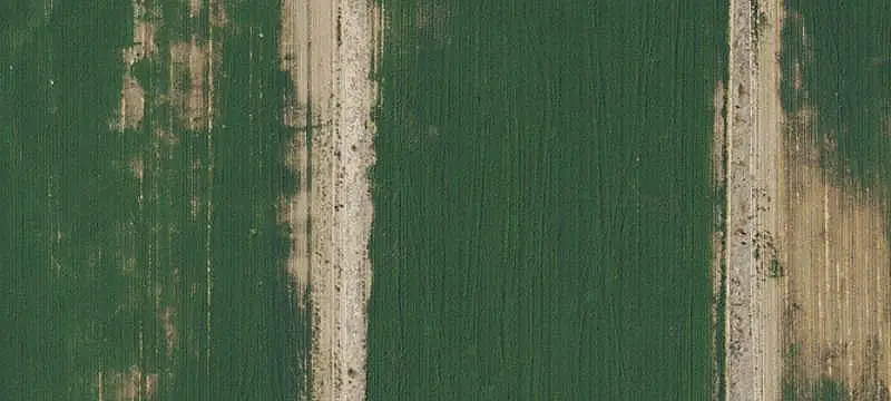 Irrigated Agricultural Land
