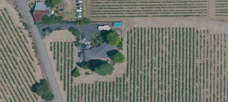 Healdsburg Vineyard With Winery Buildings