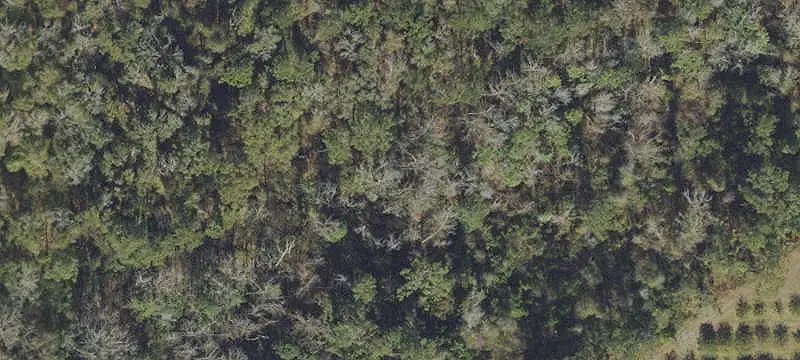 Rolling Commercial Land with Creek