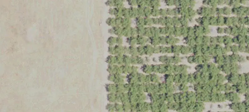 Agricultural Land with Walnut Orchard