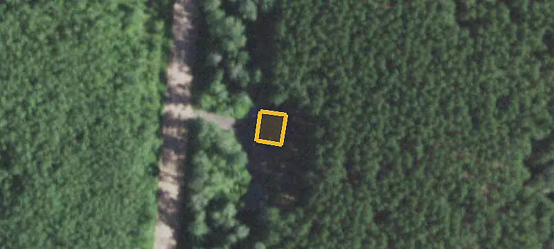Wooded Hunting Land