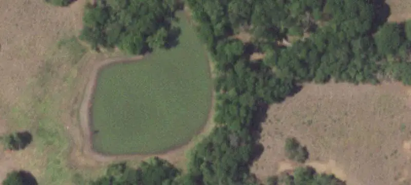 Lots and Acreage / Other
