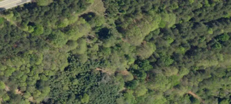Lots/Land