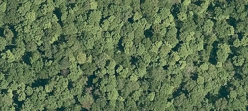 Residential Land