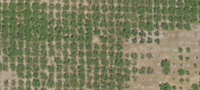 Ranch Property with Riding Arena