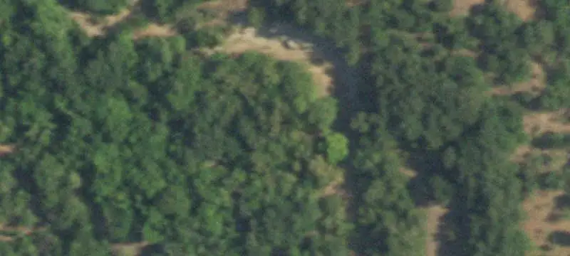 Wooded Waterfront Land