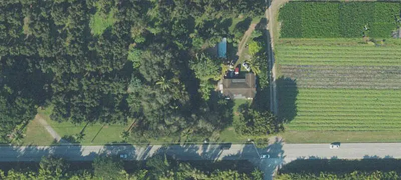 Container Nursery and Garden Center