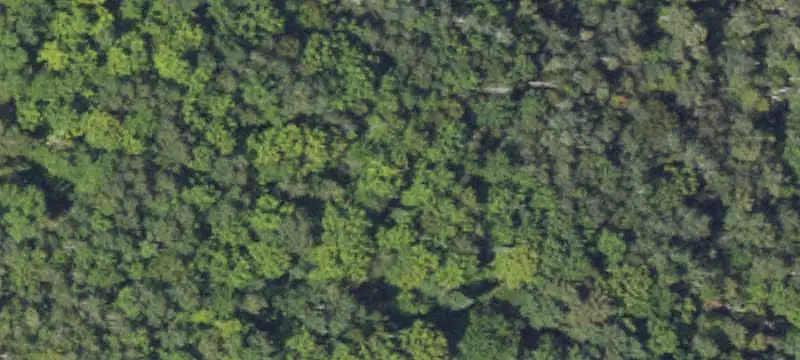 Commercial Land with Expressway Access
