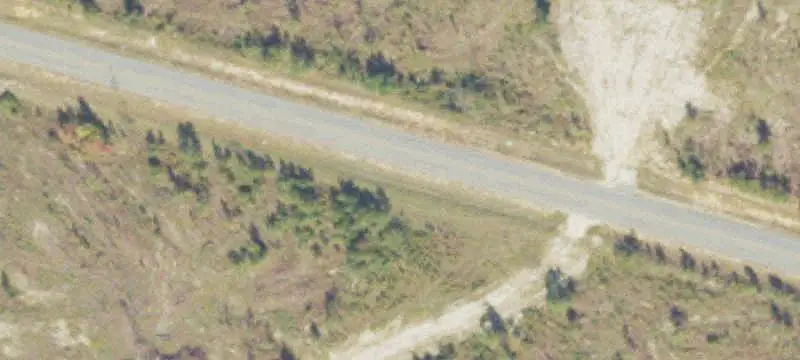 Planted Pine Farmland