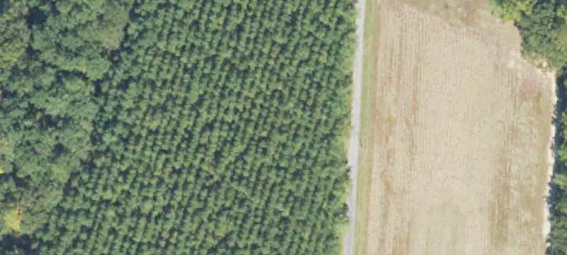 Lots/Land