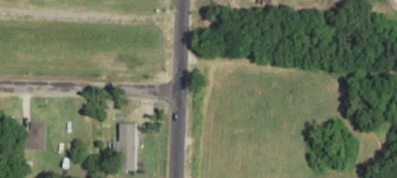 Agricultural Land with Trees and Pasture