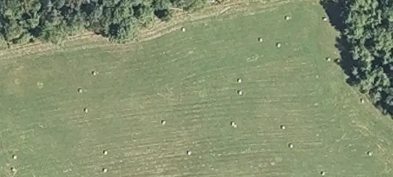 Land