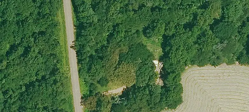 Clear-Cut Agricultural Land