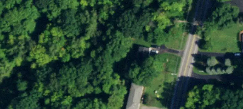 Bar & Pub with Outdoor Grove